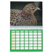 Calendar Fazant Kalender (Mar 2026)