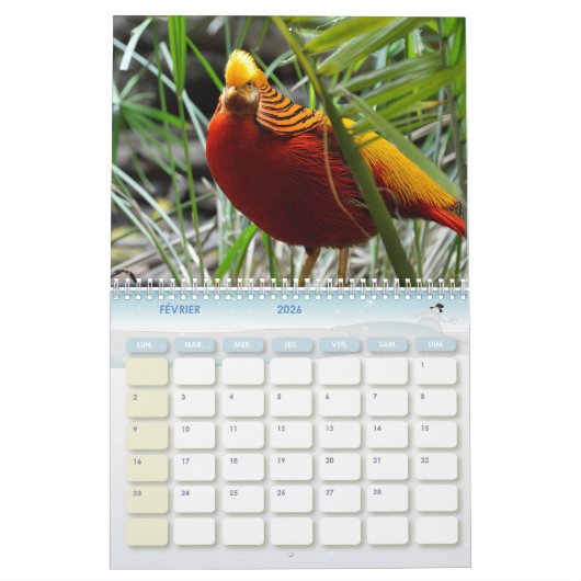 Calendar Fazant Kalender (Feb 2026)