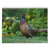 Calendar Fazant Kalender (Hoes)