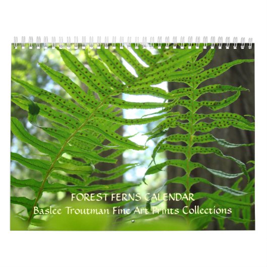 CALENDAR FERNS Calendar Redwood Forest Ferns Kalender (Hoes)