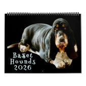 Calendar Kalender (Hoes)