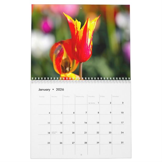 Calendar Kalender (Jan 2026)