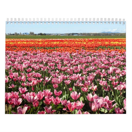 Calendar Kalender (Hoes)