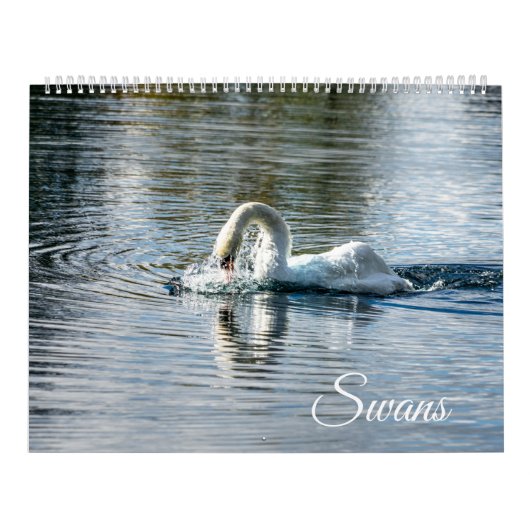 Calendar Kalender (Hoes)