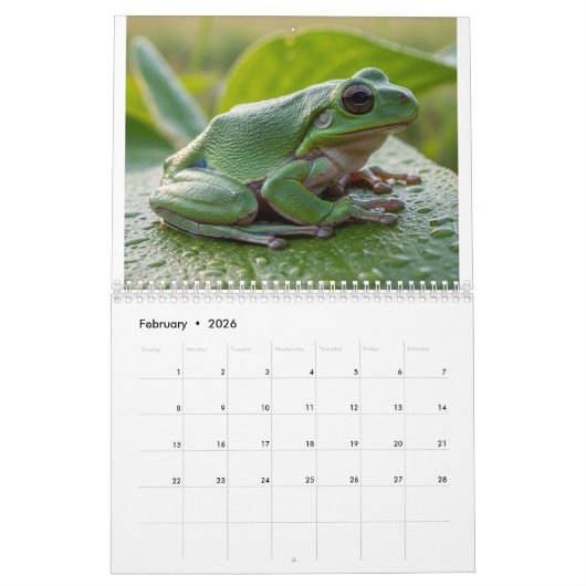 Calendar Kalender (Feb 2026)