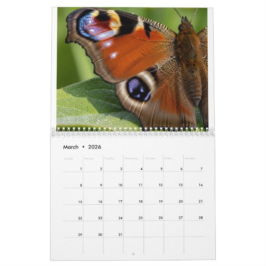 Calendar Kalender (Mar 2026)
