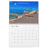 Calendar Kalender (Mar 2026)