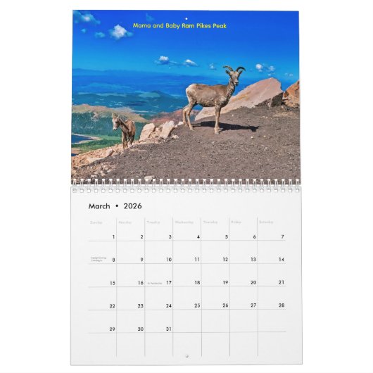 Calendar Kalender (Mar 2026)