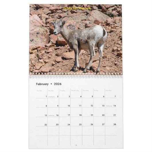 Calendar Kalender (Feb 2026)