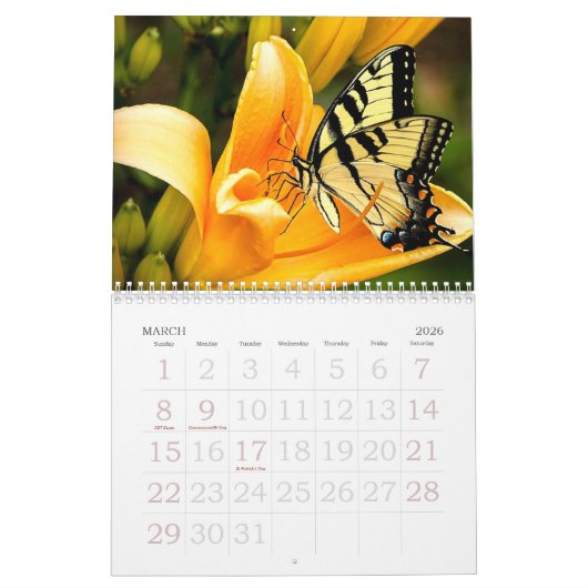 Calendar Kalender (Mar 2026)