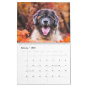 Calendar - Leonberger Ladies Kalender (Feb 2026)