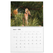 Calendar Pacific Northwest Wildlife (c)2026 Kalender (Mar 2026)