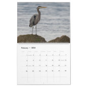 Calendar Pacific Northwest Wildlife (c)2026 Kalender (Feb 2026)