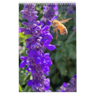 Calendar Pollinators: Bees and Butterflies Kalender