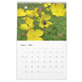 Calendar Pollinators: Bees and Butterflies Kalender (Mar 2026)
