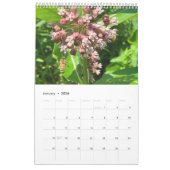 Calendar Pollinators: Bees and Butterflies Kalender (Jan 2026)