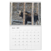 Calendar Rocky Mountain Kalender (Mar 2027)