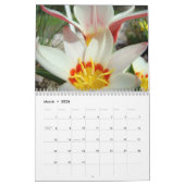 CALENDAR TULIPS Calendars Tulip Flowers Kalender (Mar 2026)