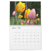 CALENDAR TULIPS Calendars Tulip Flowers Kalender (Feb 2026)