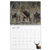 Calendar 'Wild at Last' 2026 Kalender (Mar 2027)