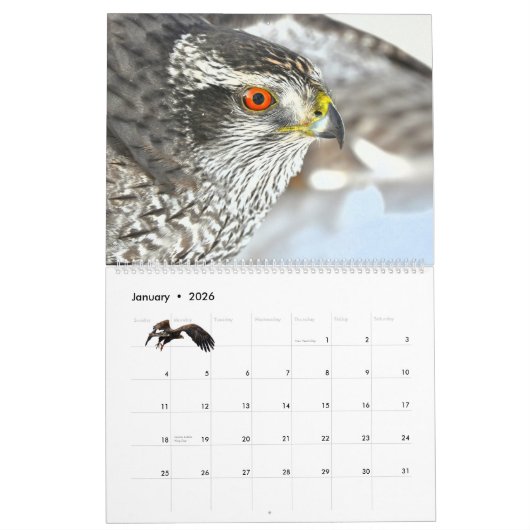 Calendar 'Wild at Last' 2026 Kalender (Jan 2026)