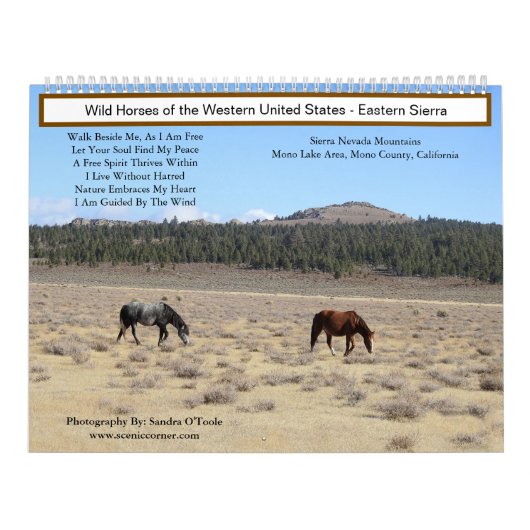 Calendar, Wild Horses, Eastern Sierra, California Kalender (Hoes)