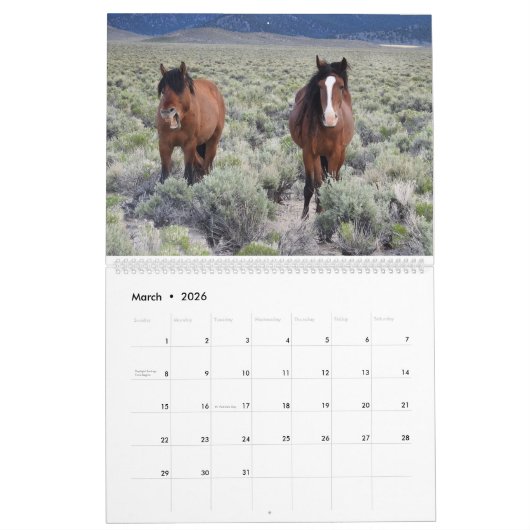 Calendar, Wild Horses, Eastern Sierra, California Kalender (Mar 2026)