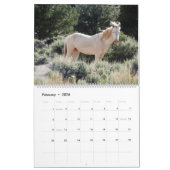 Calendar, Wild Horses, Eastern Sierra, California Kalender (Feb 2026)