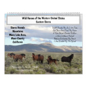 Calendar, Wild Horses, Eastern Sierra, California Kalender (Hoes)
