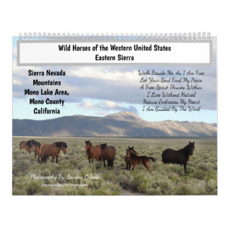 Calendar, Wild Horses, Eastern Sierra, California Kalender