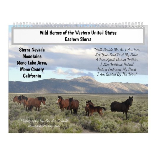 Calendar, Wild Horses, Eastern Sierra, California Kalender (Hoes)