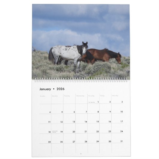 Calendar, Wild Horses, Eastern Sierra, California Kalender (Jan 2026)