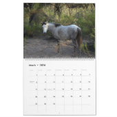 Calendar, wild horses, salt river, Arizona Kalender (Mar 2026)