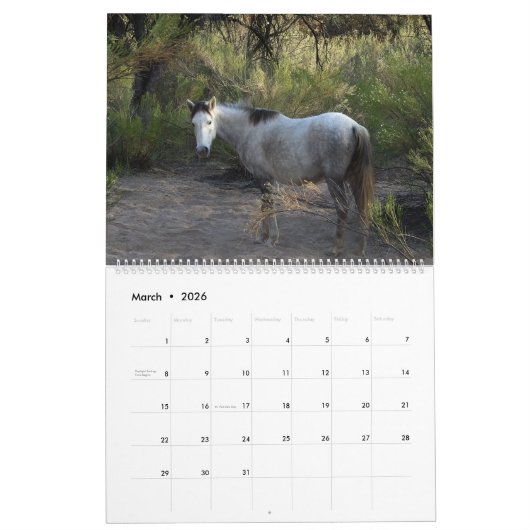 Calendar, wild horses, salt river, Arizona Kalender (Mar 2026)