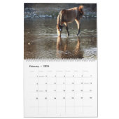 Calendar, wild horses, salt river, Arizona Kalender (Feb 2026)