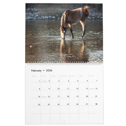 Calendar, wild horses, salt river, Arizona Kalender (Feb 2026)