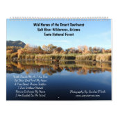 Calendar, wild horses, salt river, Arizona Kalender (Hoes)