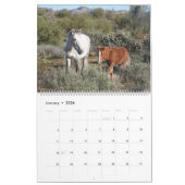 Calendar, wild horses, salt river, Arizona Kalender (Jan 2026)