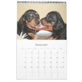 Calendario 2017 Puppy Dachshunds Kalender (Feb 2027)