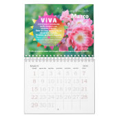 Calendário 2026 :: Viva a Vida Edição ILUMINAÇÃO Kalender (Mar 2026)