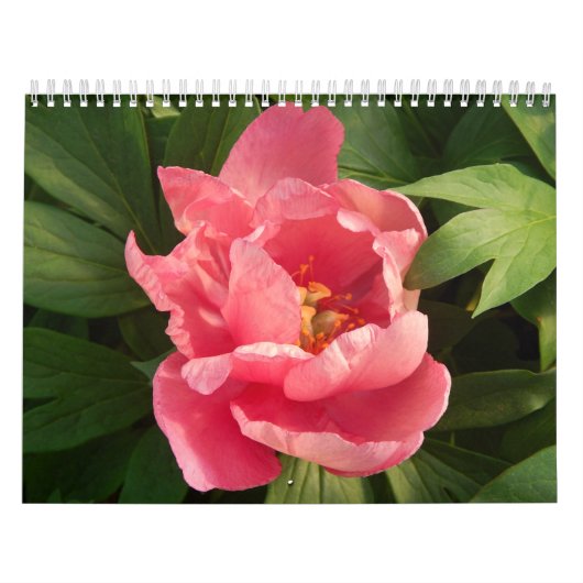 Calendario con fotografía de flores en color kalender (Hoes)