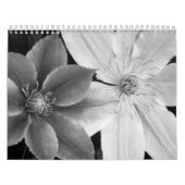 Calendario con fotografía en blanco y negro kalender (Hoes)