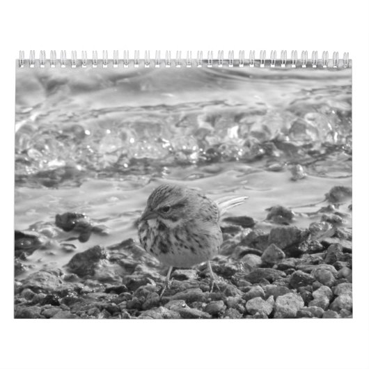 Calendario con fotos de pájaros en blanco y negro kalender (Hoes)
