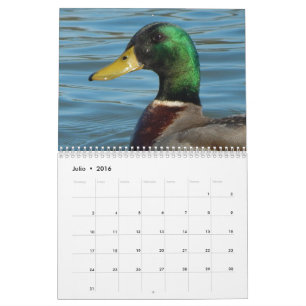Calendario con fotos de patos y gansos en color kalender