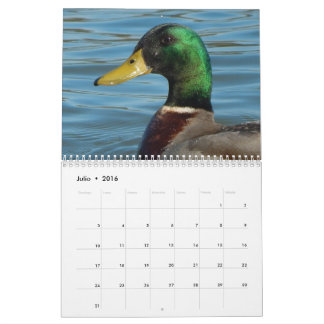 Calendario con fotos de patos y gansos en color kalender