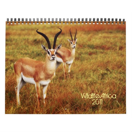 Calendars 2011 - Wilde Afrika Kalender (Hoes)