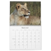 Calendars 2011 - Wilde Afrika Kalender (Mar 2027)