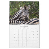 Calendars 2011 - Wilde Afrika Kalender (Jan 2027)