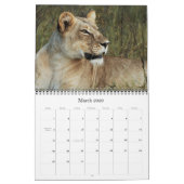 Calendars 2011 - Wilde Afrika Kalender (Mar 2026)