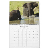 Calendars 2011 - Wilde Afrika Kalender (Feb 2026)